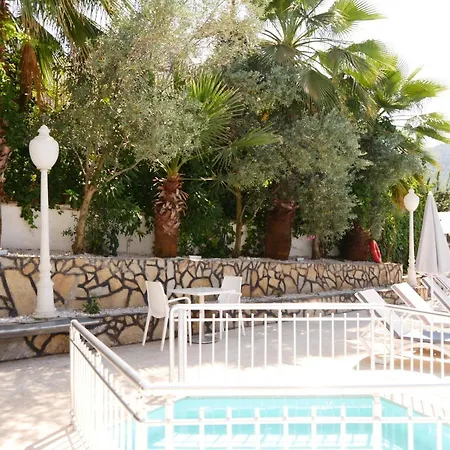 Nefis 厄吕代尼兹