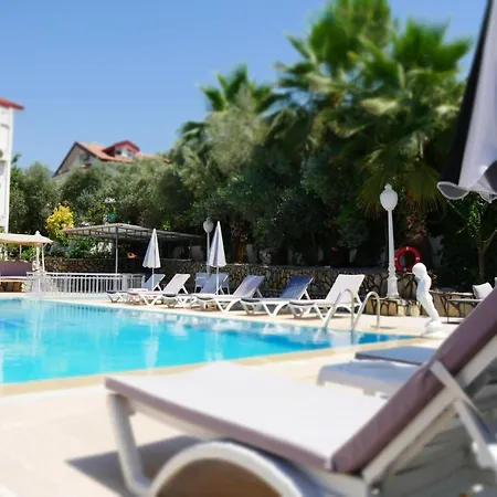 Nefis Hotell