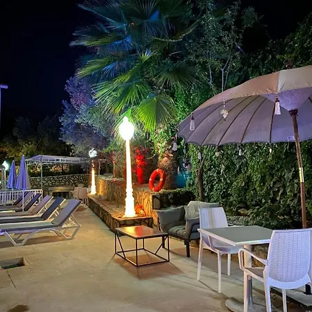 Nefis Hotell