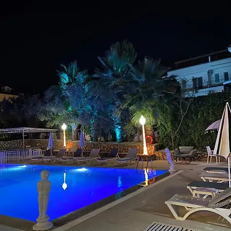 Nefis Hotell 3*