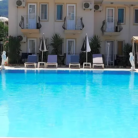 Nefis 3*