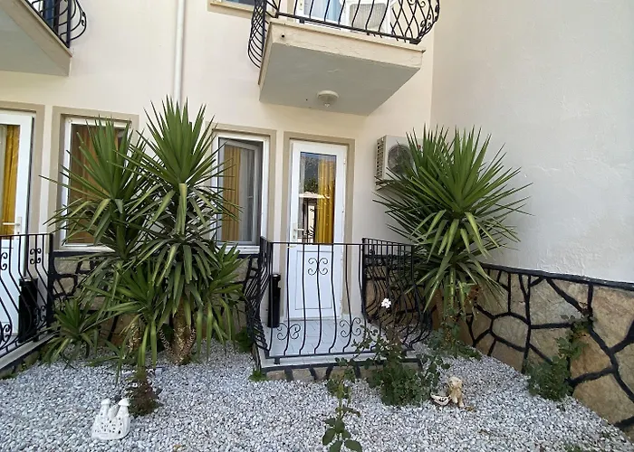 Nefis Oeluedeniz Cedit